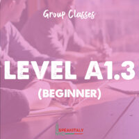 Group Classes - Level A1.3 (Beginner)