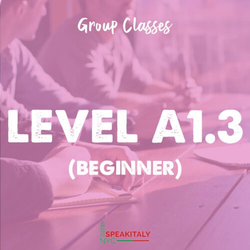 Group Classes - Level A1.3 (Beginner)